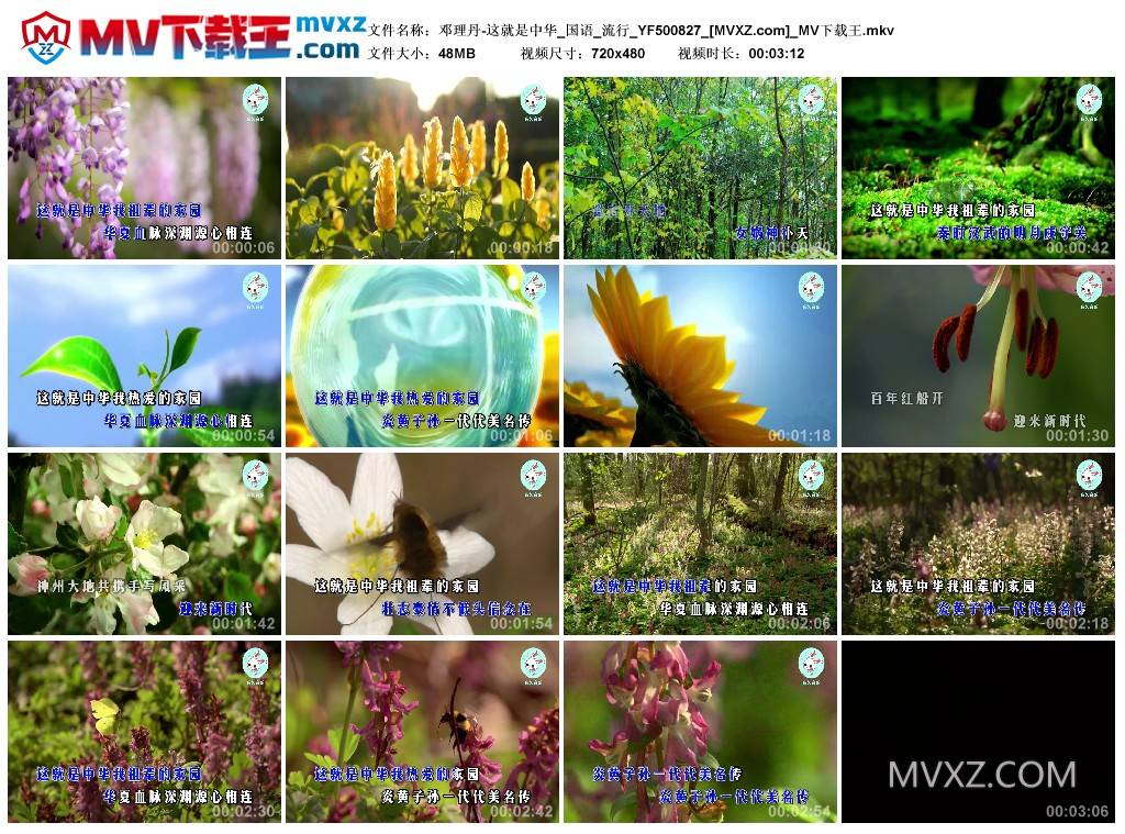 邓理丹-这就是中华_国语_流行_YF500827